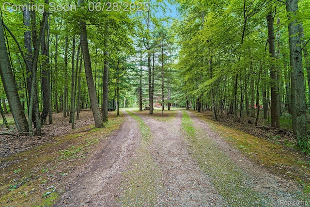 3030 Stanton Rd, Oxford, MI 48371 - view of dirt / gravel road with a view of trees