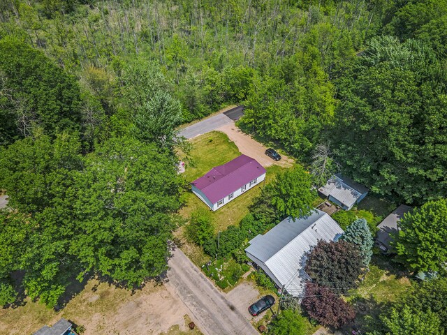 11720 Sparrow Dr, Lakeview, MI 48850 - photo 19