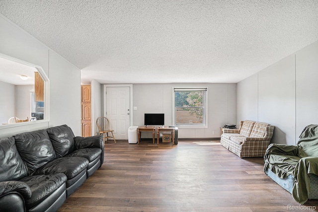 12342 N Mackinaw Hwy, Carp Lake, MI 49718 - living area with dark wood-style flooring and a textured ceiling