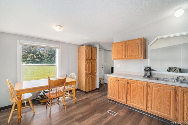12342 N Mackinaw Hwy, Carp Lake, MI 49718 - kitchen with a textured ceiling, dark wood finished floors, and light countertops