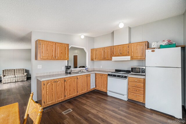 12342 N Mackinaw Hwy, Carp Lake, MI 49718 - kitchen featuring white appliances, range hood, light countertops, dark wood-style floors, and a textured ceiling