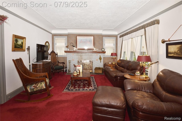1719 Sycamore Ave, Royal Oak, MI 48073 - living room featuring a textured ceiling and carpet flooring