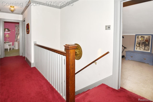 1719 Sycamore Ave, Royal Oak, MI 48073 - corridor featuring an upstairs landing, carpet, and ornamental molding