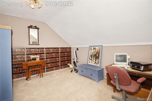 1719 Sycamore Ave, Royal Oak, MI 48073 - office featuring lofted ceiling and carpet floors