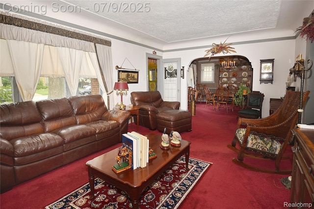 1719 Sycamore Ave, Royal Oak, MI 48073 - living area featuring carpet flooring, arched walkways, a textured ceiling, and a chandelier