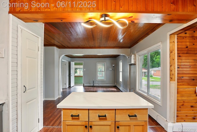 22521 Hoffman St, Saint Clair Shores, MI 48082 - kitchen featuring arched walkways, a baseboard radiator, plenty of natural light, dark wood-style floors, and wood ceiling