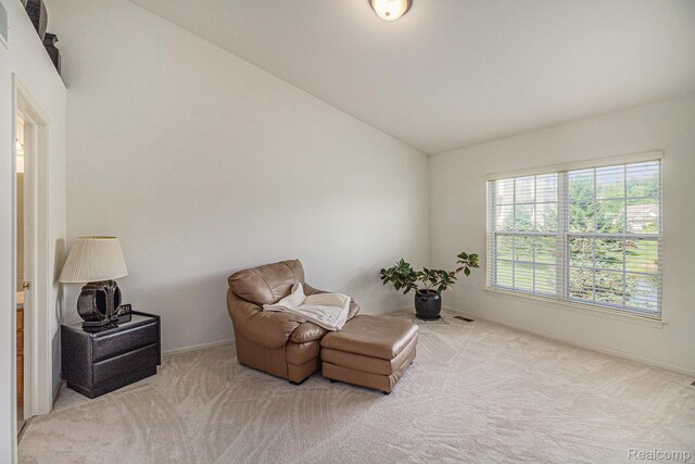5891 Augusta Ln, Grand Blanc, MI 48439 - living area featuring lofted ceiling and carpet flooring
