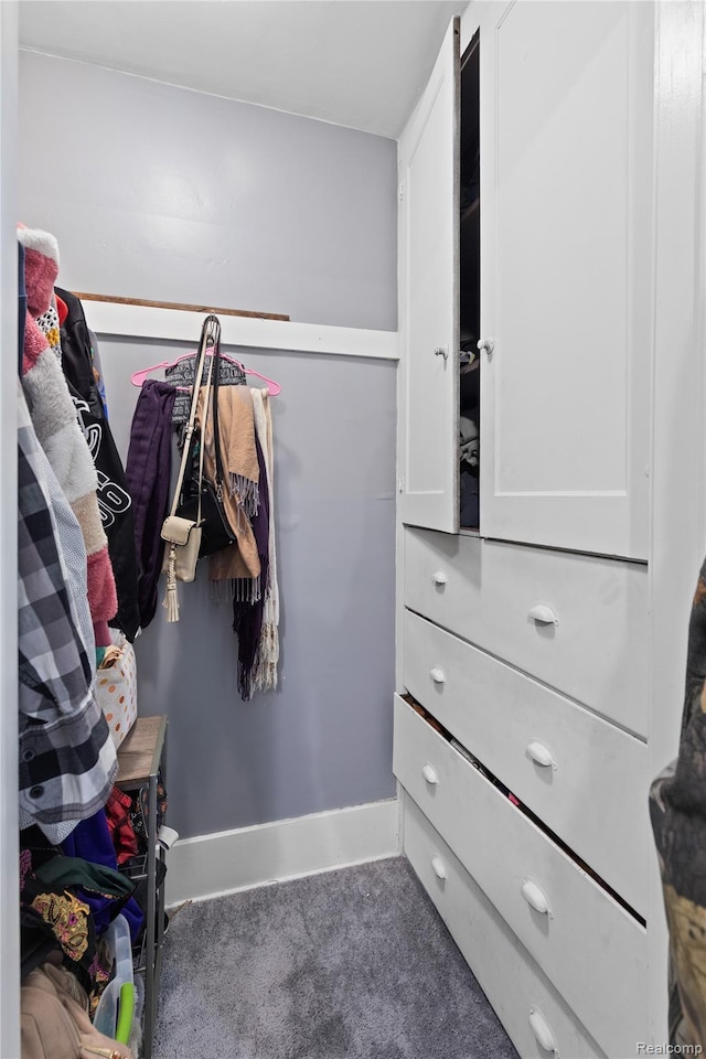 15 Forest St, River Rouge, MI 48218 - spacious closet with carpet