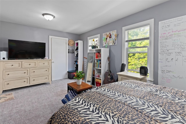 15 Forest St, River Rouge, MI 48218 - view of carpeted bedroom