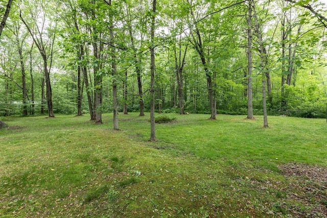 5665 N Sturgeon Rd, Midland, MI 48624 - view of grassy yard featuring a forest view