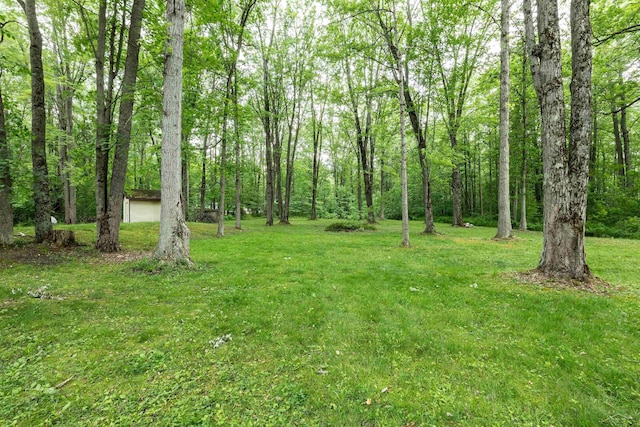 5665 N Sturgeon Rd, Midland, MI 48624 - view of green lawn with a forest view