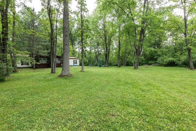 5665 N Sturgeon Rd, Midland, MI 48624 - view of green lawn
