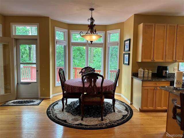 6601PEMBRIDGEHILL Pembridge Hl, West Bloomfield, MI 48322 - dining room with light wood-style flooring and baseboards