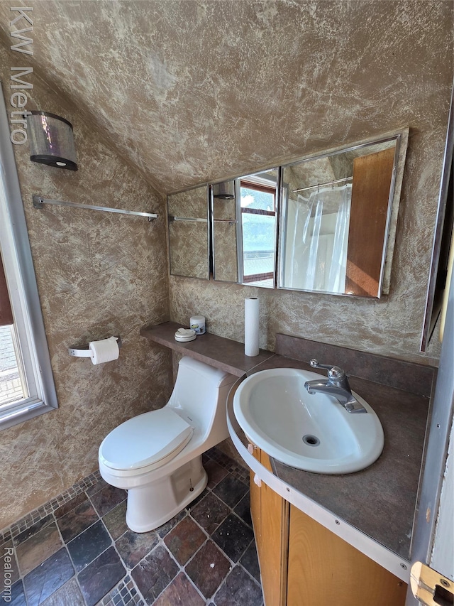 19620 Jeanette St, Southfield, MI 48075 - full bathroom with vanity, toilet, and lofted ceiling