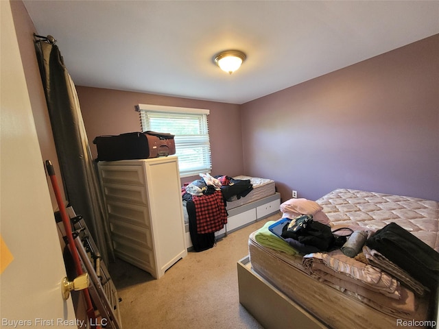 17137 Hilton St, Southfield, MI 48075 - view of carpeted bedroom