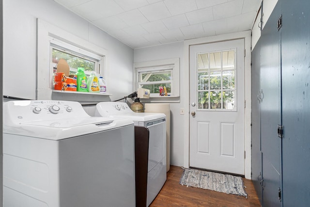 59 Wright St, Coldwater, MI 49036 - laundry area with independent washer and dryer and dark wood-style flooring