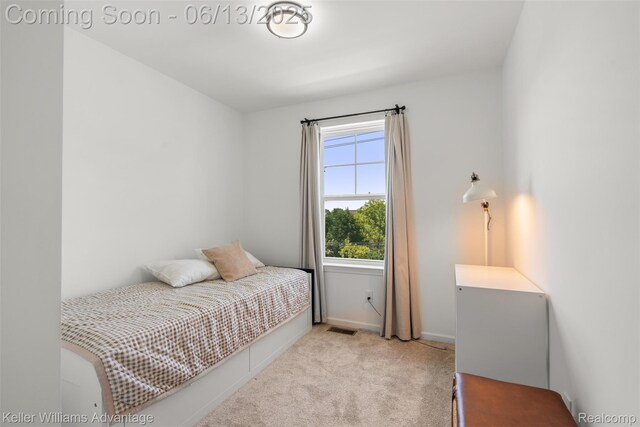 3947 Trailwaycommons Cir, Auburn Hills, MI 48326 - bedroom with light carpet and baseboards