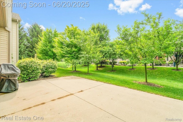 43543 Abbey Cir, Canton, MI 48187 - view of patio featuring grilling area