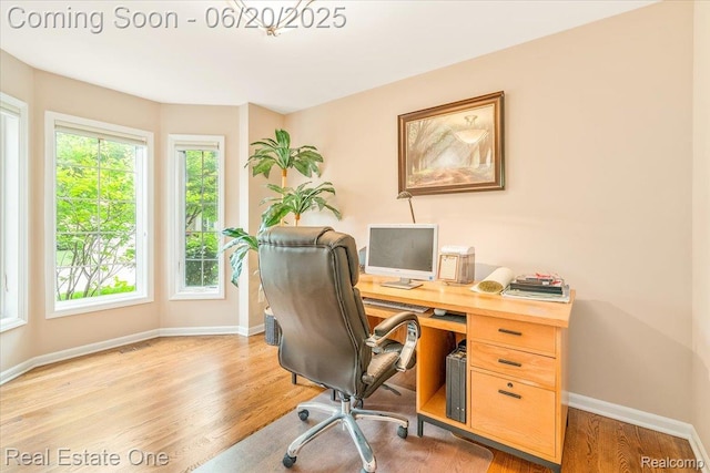 43543 Abbey Cir, Canton, MI 48187 - home office featuring light wood-type flooring