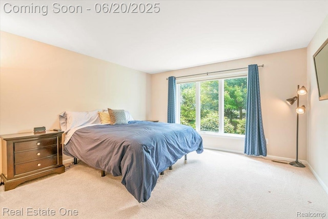 43543 Abbey Cir, Canton, MI 48187 - bedroom with carpet flooring and baseboards