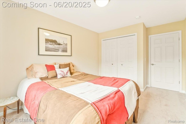 43543 Abbey Cir, Canton, MI 48187 - bedroom with light carpet and a closet