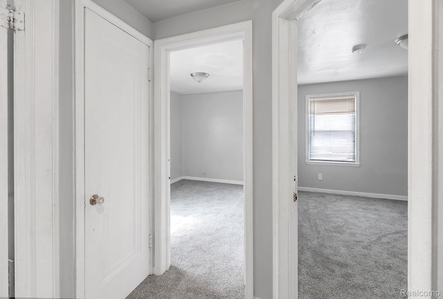 12702-12710 Kelly Rd, Detroit, MI 48224 - hall featuring carpet and baseboards