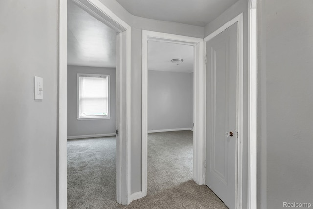 12702-12710 Kelly Rd, Detroit, MI 48224 - hall with carpet floors and baseboards