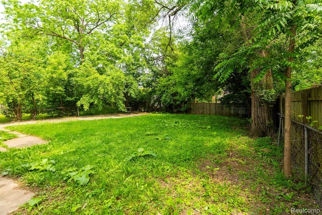 12702-12710 Kelly Rd, Detroit, MI 48224 - view of yard
