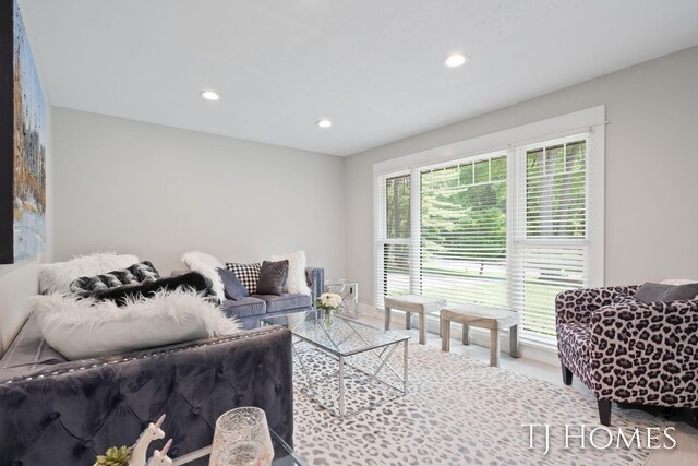 2605 Shadowbrook Dr SE, Grand Rapids, MI 49546 - living room with recessed lighting