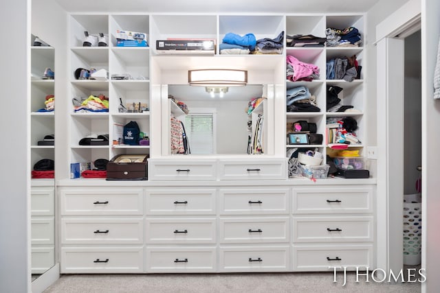2605 Shadowbrook Dr SE, Grand Rapids, MI 49546 - view of spacious closet