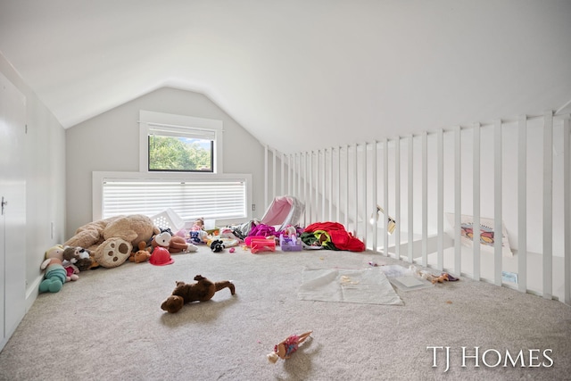 2605 Shadowbrook Dr SE, Grand Rapids, MI 49546 - recreation room featuring carpet and vaulted ceiling