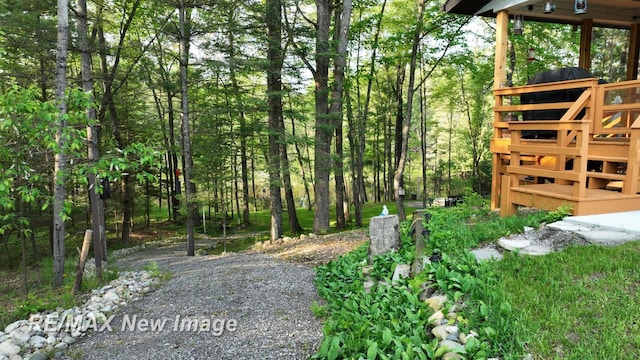 2258 High Rd, Roscommon, MI 48653 - view of yard