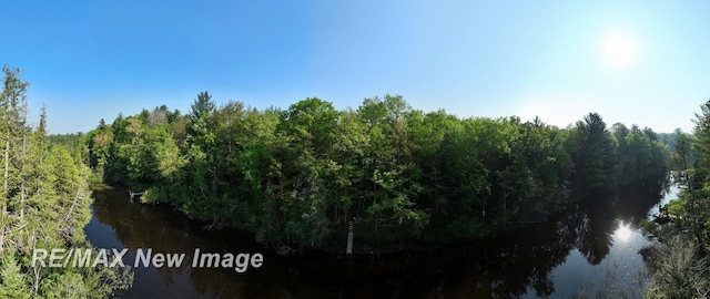 2258 High Rd, Roscommon, MI 48653 - view of wooded area with a water view