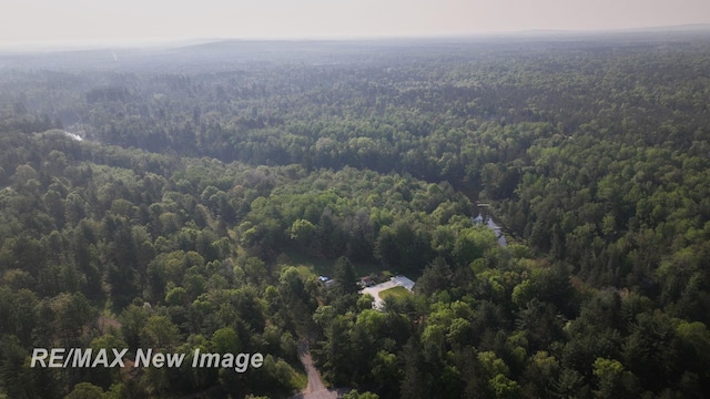 2258 High Rd, Roscommon, MI 48653 - aerial view of a heavily wooded area
