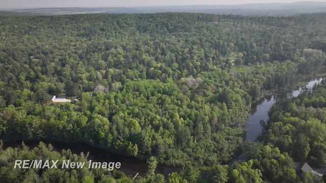 2258 High Rd, Roscommon, MI 48653 - aerial view of property and surrounding area with a heavily wooded area and a nearby body of water