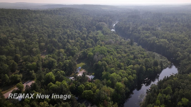 2258 High Rd, Roscommon, MI 48653 - drone / aerial view of a heavily wooded area and a large body of water