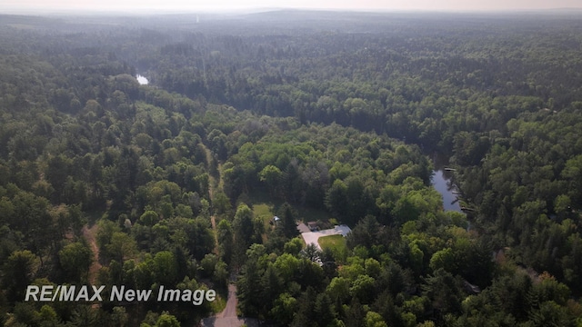 2258 High Rd, Roscommon, MI 48653 - view of property location featuring a heavily wooded area