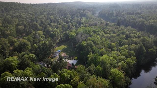 2258 High Rd, Roscommon, MI 48653 - aerial view of a heavily wooded area and a large body of water