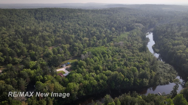 2258 High Rd, Roscommon, MI 48653 - drone / aerial view of a forest and a nearby body of water