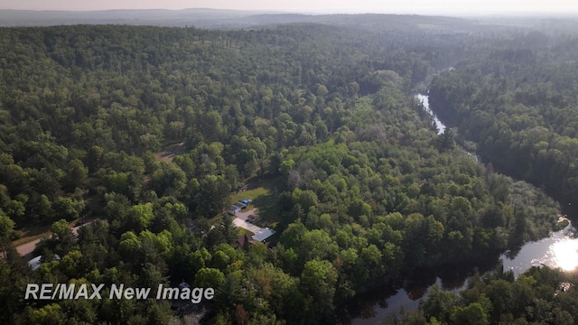 2258 High Rd, Roscommon, MI 48653 - bird's eye view of a heavily wooded area