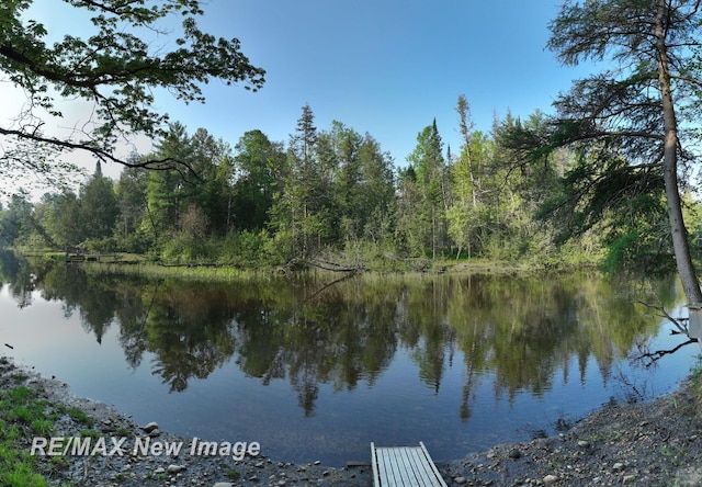 2258 High Rd, Roscommon, MI 48653 - water view featuring a heavily wooded area
