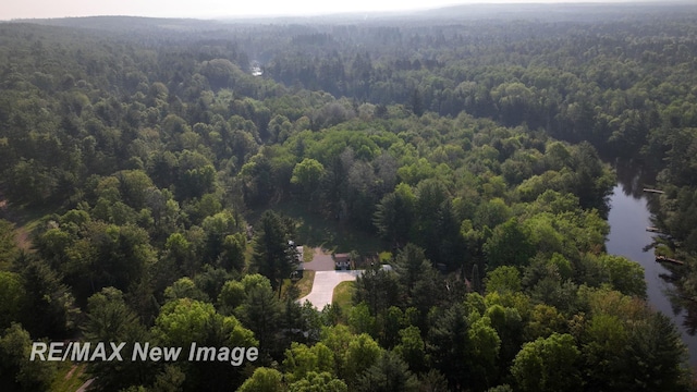 2258 High Rd, Roscommon, MI 48653 - drone / aerial view of a forest