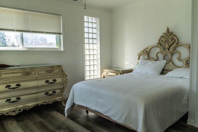 37252 Jefferson Ave, Harrison Township, MI 48045 - bedroom featuring dark wood finished floors and multiple windows