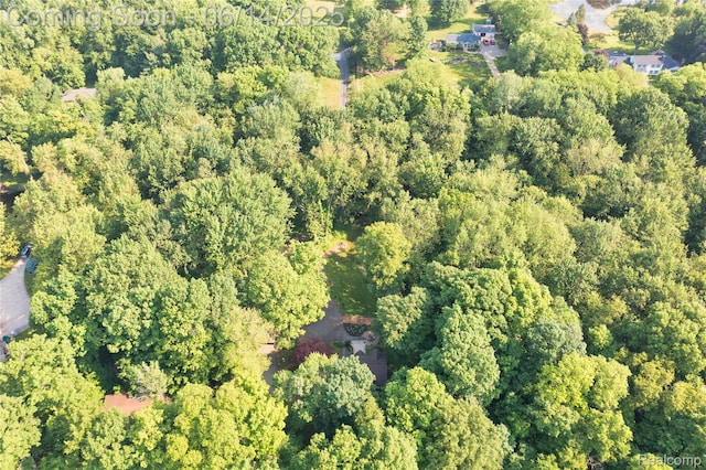 55535 Woody Ln, South Lyon, MI 48178 - aerial view of property and surrounding area with a heavily wooded area