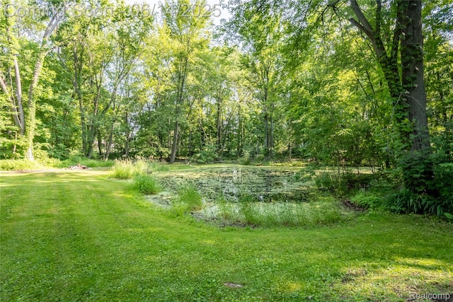 55535 Woody Ln, South Lyon, MI 48178 - view of green lawn with a view of trees