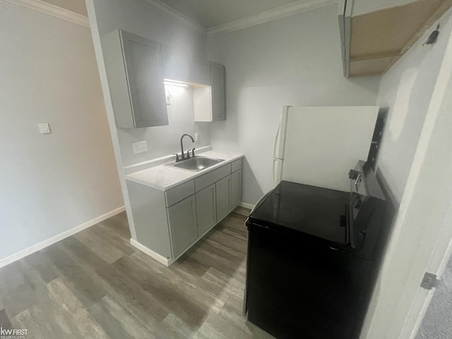 11009 N Saginaw St, Mount Morris, MI 48458 - kitchen featuring a sink, freestanding refrigerator, wood finished floors, ornamental molding, and baseboards