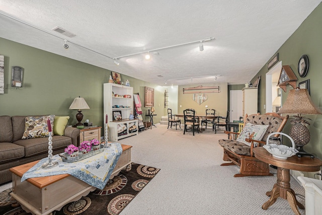 3431 Brookview Ct, Hudsonville, MI 49426 - carpeted living area featuring track lighting and a textured ceiling