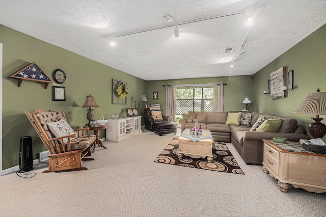 3431 Brookview Ct, Hudsonville, MI 49426 - living room with rail lighting, carpet floors, and a textured ceiling