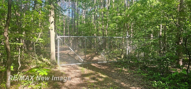 2351 S 10 Mile Rd, Breckenridge, MI 48615