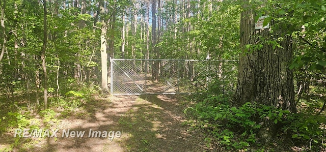 2351 S 10 Mile Rd, Breckenridge, MI 48615